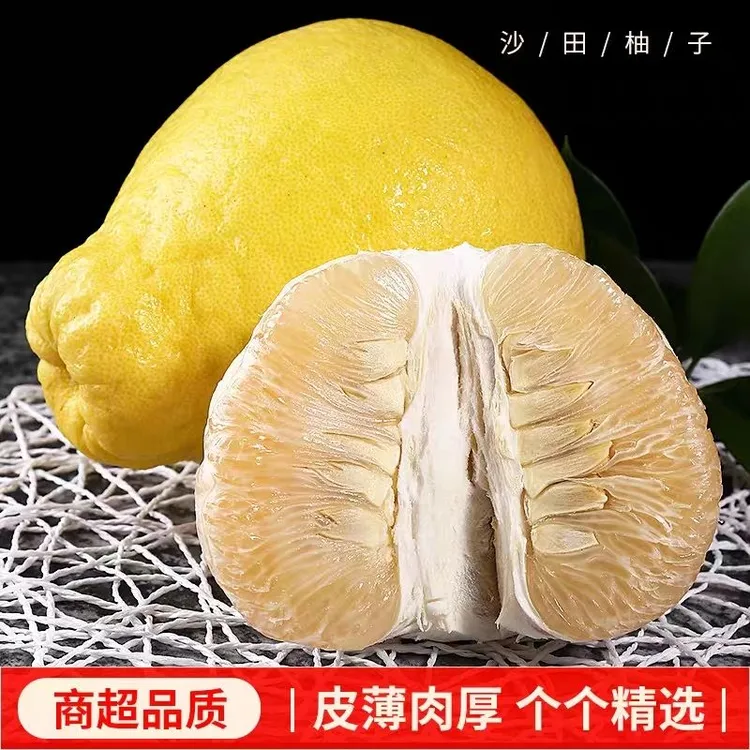 正宗梅州沙田柚新鲜现摘当季应季水果批发孕妇白心纯甜纯正农产品