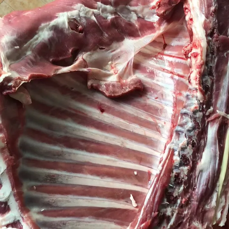 盐池滩羊羊排适合红烧清炖烧烤香煎羊肉新鲜生羊肉现杀现卖山羊肉