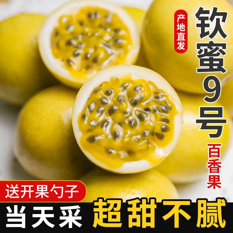 三冬四夏钦蜜9号百香果正宗产地直发钦蜜九号大果黄金百香果