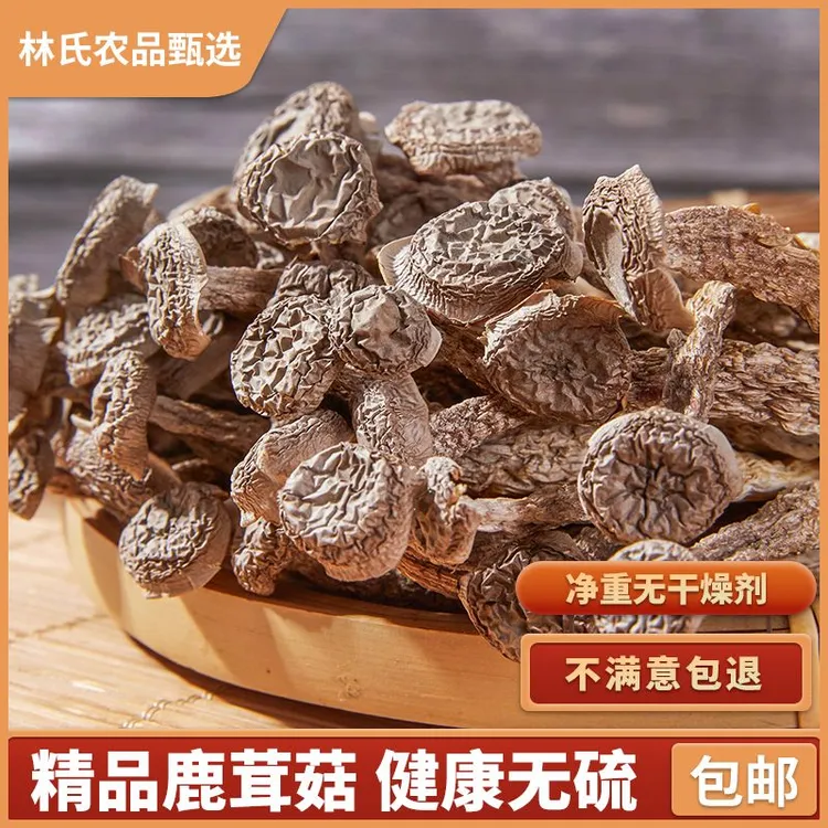 精品【鹿茸菇】干货养生菌菇煲汤食材原生态脆菇清炒火锅