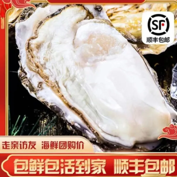 精品鲜活山东牡蛎生蚝肥美五斤饱满刺身级海鲜美味