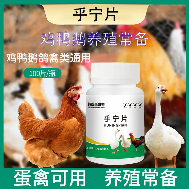速康生物乎宁片100片鸡鸭鹅家禽养殖常备