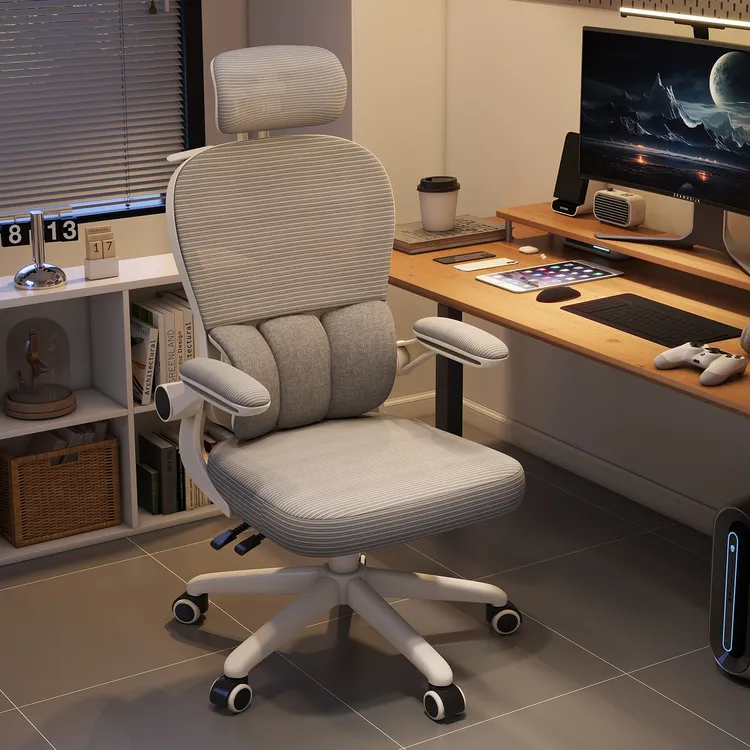 电脑椅家用办公椅舒适久坐电竞椅座椅升降书桌椅人体工学靠背椅子