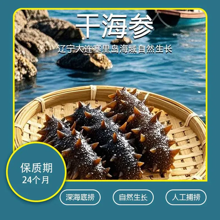 特价航天冻干海参送两根试吃高品质辽参纯淡干海参到手42根