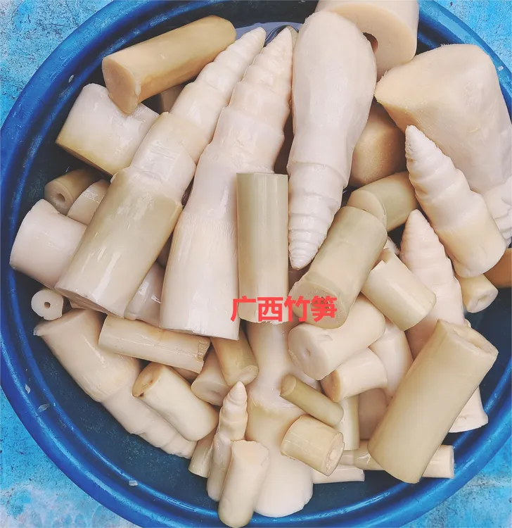 广西簕竹笋农家笋尖脆嫩自然发酵博白正宗