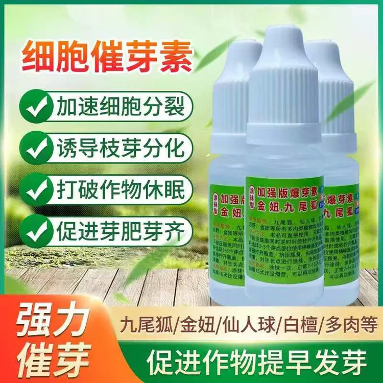 九尾狐金妞多肉爆芽素植物催芽