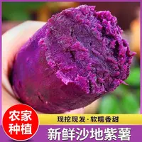 【沙地紫薯新鲜】现挖紫番薯软糯香甜地瓜板栗红薯蜜薯蔬菜当季鲜果