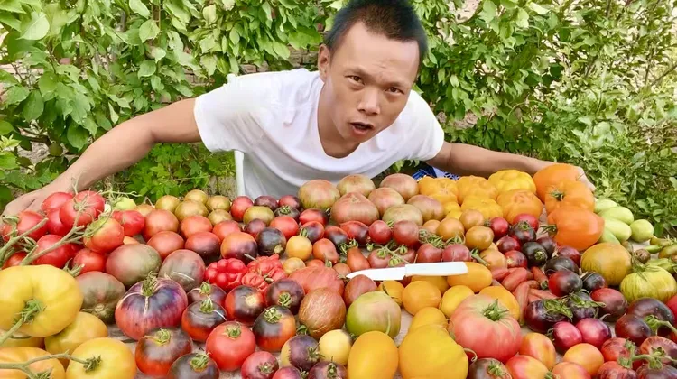 老品种番茄种子组合装+育苗教程，90%发芽率，小时候的传统味道