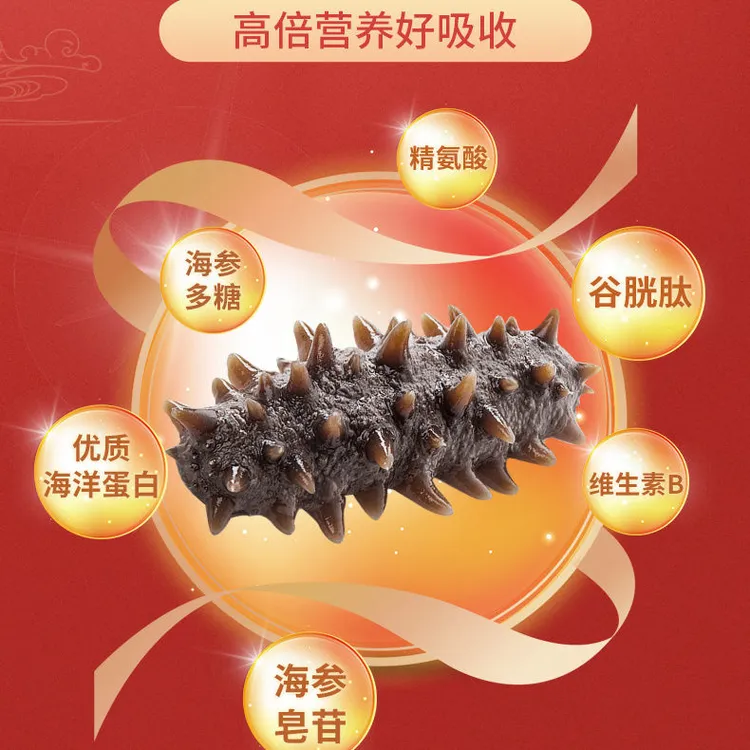 【9-12头/斤】大连辽刺参大连石城岛鲜食海参-无需泡发0添加