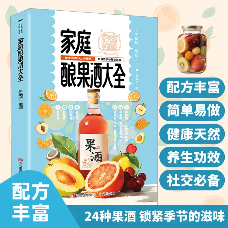 家庭酿果酒大全 自家酿果酒配方天然饮品健康调理身体书籍