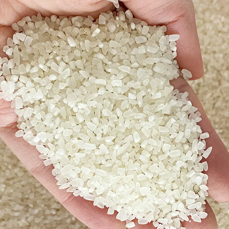 散装碎米斤粥米干净无杂质低价米窝料米粳米大米