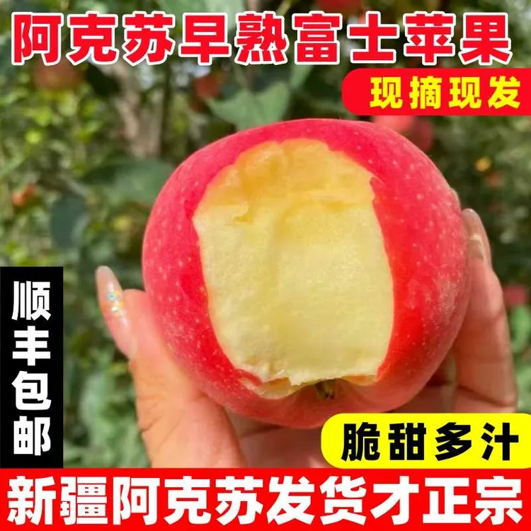 【果王礼盒】新疆阿克苏红富士苹果脆甜多果园直发汁顺丰包邮