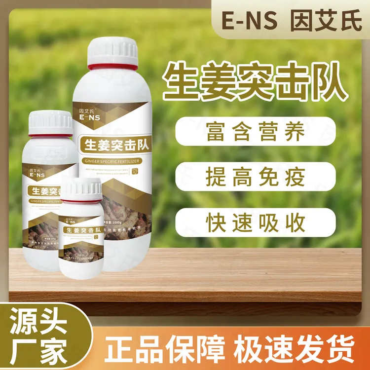 因艾氏生姜突击队生姜种植专用提高免疫快速吸收生根壮苗微生物肥