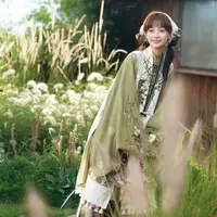 十三余小豆蔻儿[陌上青篱]2025新款比甲立领长衫褶裙明制汉服女装
