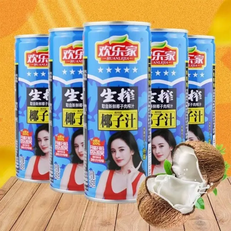 欢乐家生椰子汁245整箱饮料果肉椰汁植物蛋白