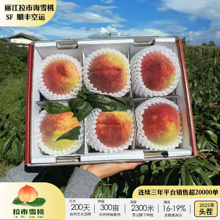 【顺丰空运】正宗丽江拉市雪桃 连续十二年献礼国庆宴席 源产地发货