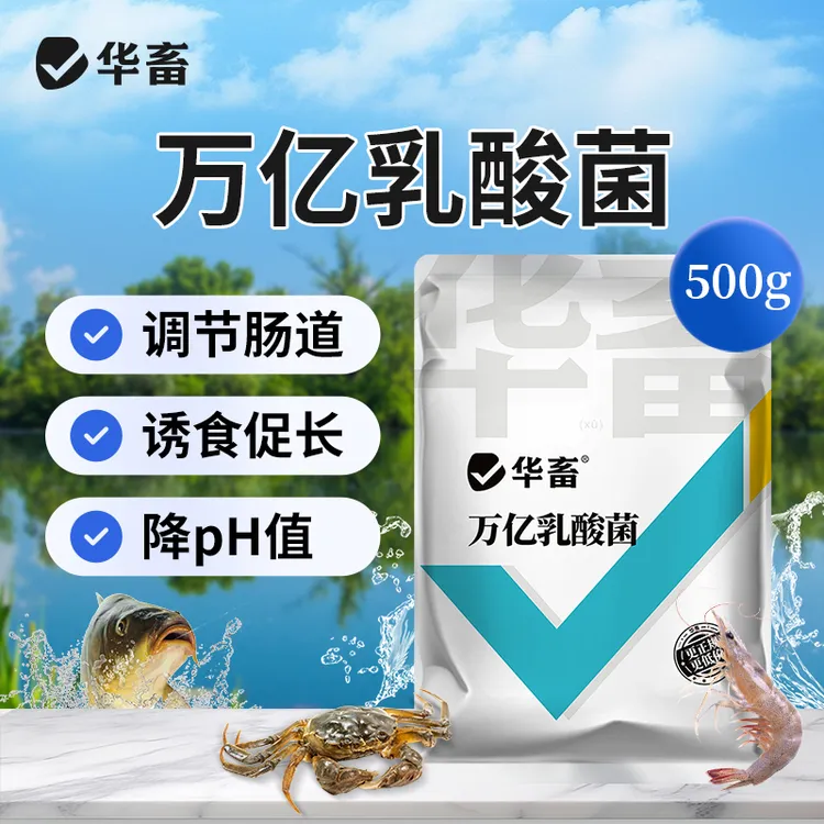万亿乳酸菌降ph诱食促长鱼塘 虾蟹塘专用饲料水产养殖 华畜s商品图