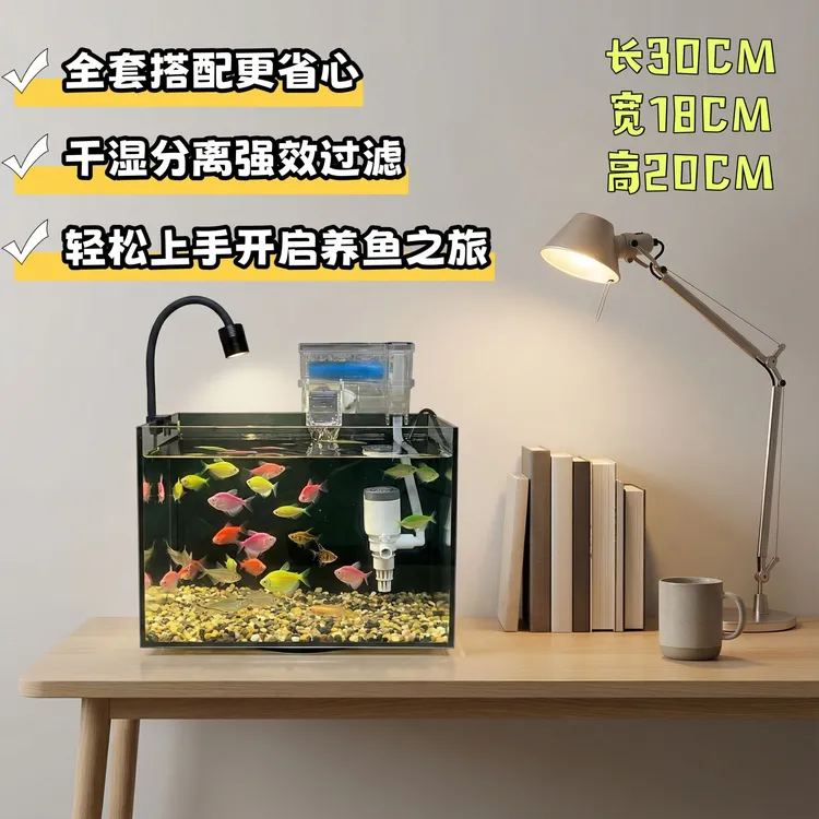 全套发货30×18×22CM超白玻璃家用桌面生态鱼缸送赠品