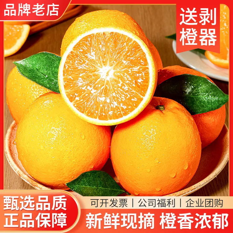 江西赣南脐橙新鲜采摘当季水果皮薄味美包邮