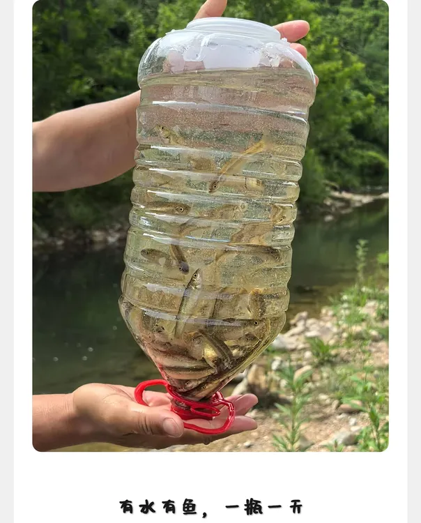 插当钓4代抓鱼神器5升