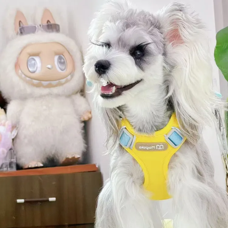 magicka高端原创小天使和小恶魔可调节背心式狗牵引胸背带遛狗