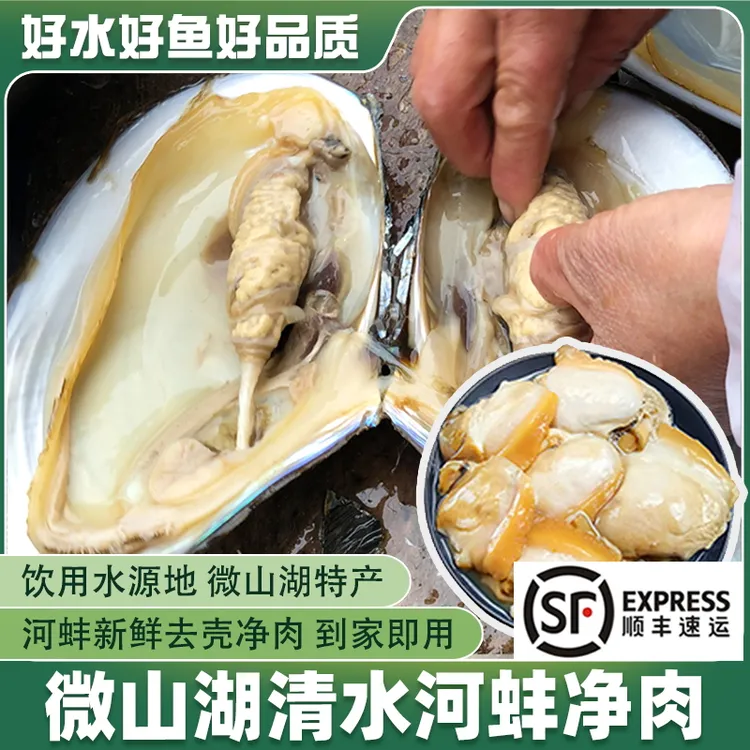 微山湖清水新鲜河蚌肉去壳净肉去内脏蚌肉蚌边蚌丝河漂肉商用顺丰