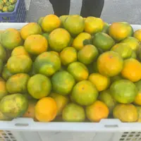 赶集干货干豆角临时链接