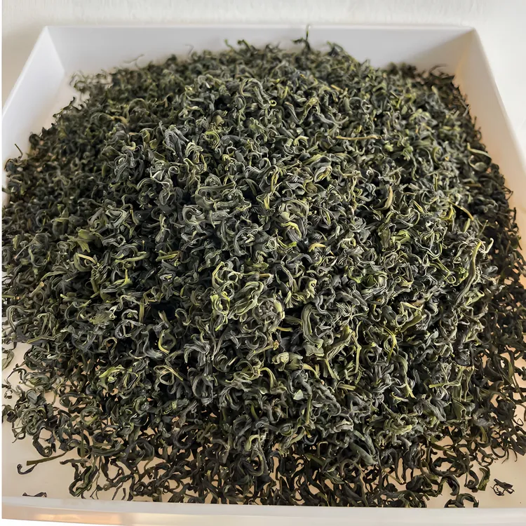 日照绿茶2025年秋茶晚秋白露茶浓浓板栗香包邮正装试喝