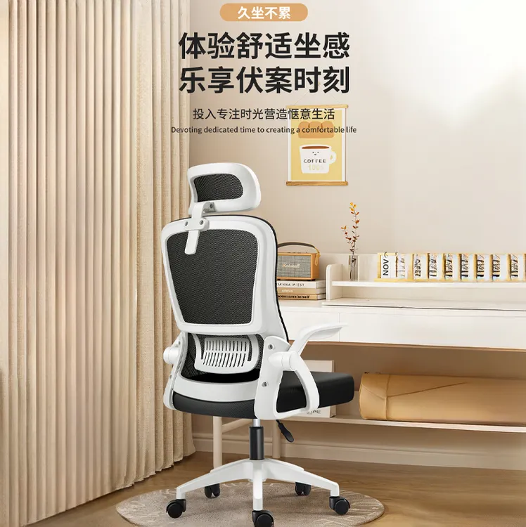 人体工学椅书桌椅办公椅书房办公宿舍学习家用电竞椅学生椅承重大