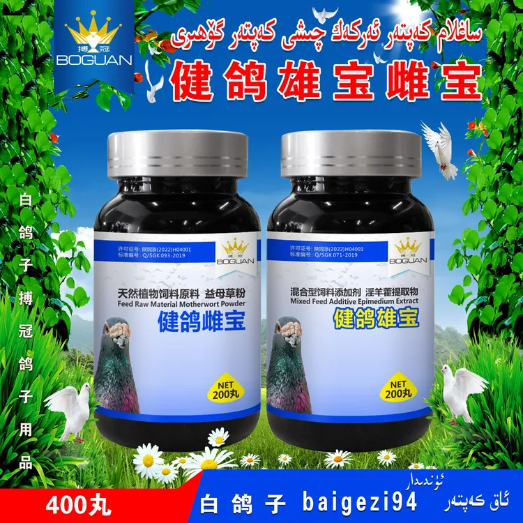 白鸽子搏冠健鸽雄宝雌宝 arkak qixi kaptar gohiri【新疆包邮】