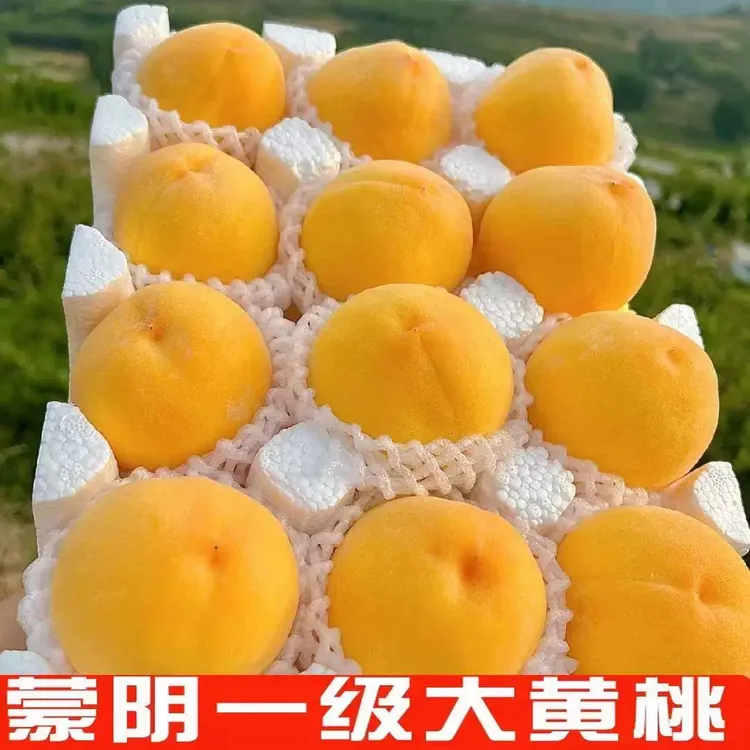 【京东包邮】蒙阴黄毛桃现摘大果 沂蒙山特产香甜（普通箱）