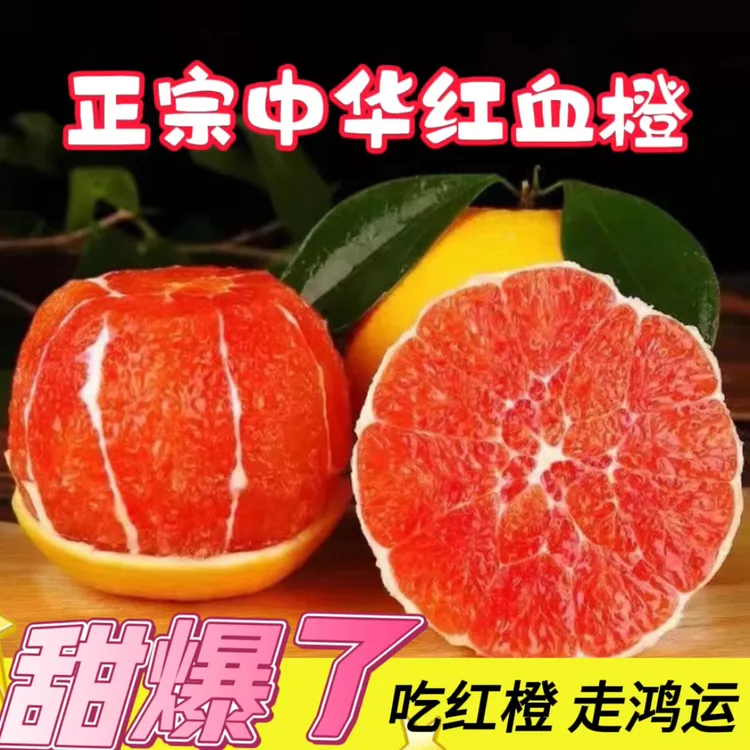 【琴宝专属】橙中贵族中华红橙湖北宜昌新鲜水果当季5/9斤天然