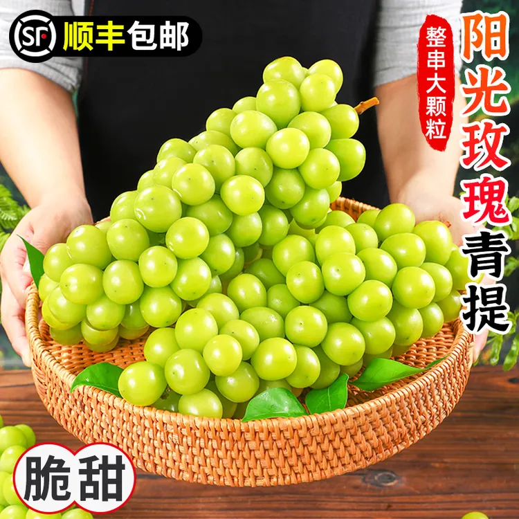 【顺丰包邮】阳光玫瑰青提1-4.5斤提子水晶葡萄香印青提新鲜水果
