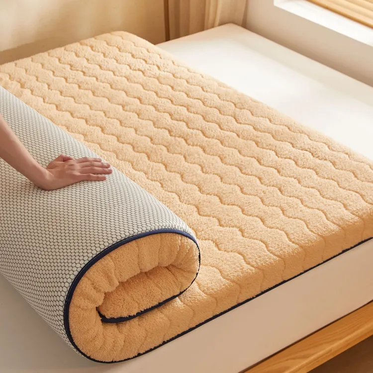 冬季加绒加厚床垫子双人家用垫褥榻榻米床垫学生宿舍租房打地铺