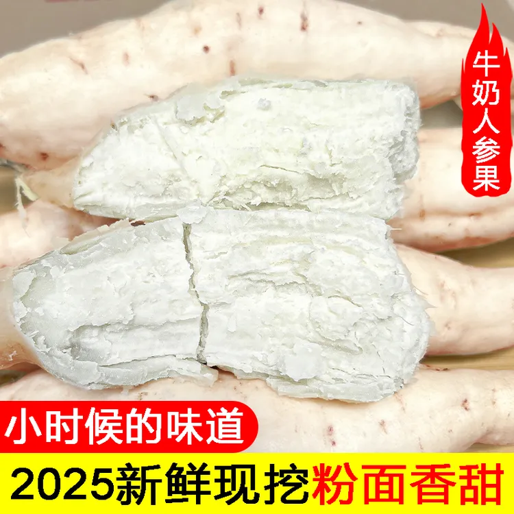 新鲜白皮牛奶人参薯粉面香甜白心板栗薯农家自种现挖红薯番薯地瓜