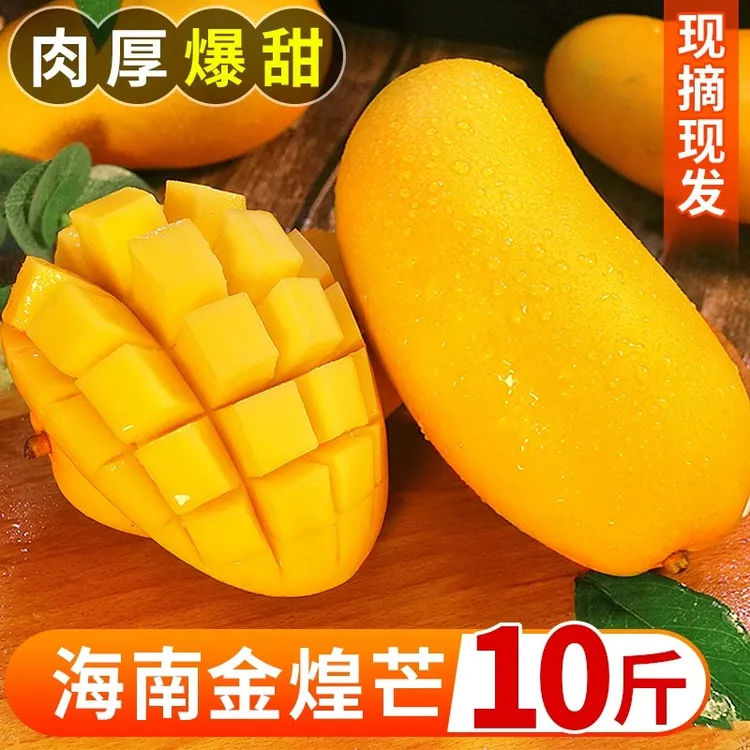 海南三亚金煌芒果新鲜热带水果香甜多汁礼盒直发