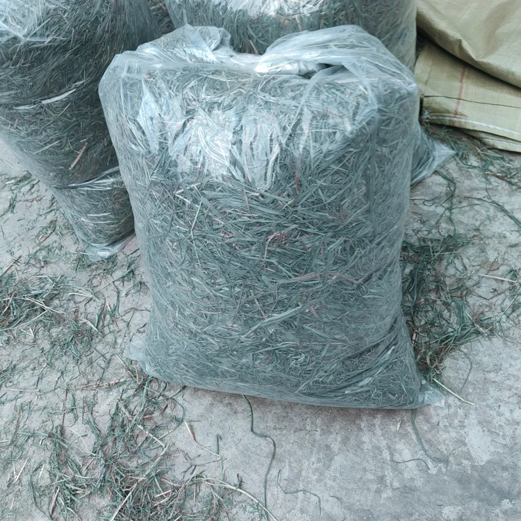 晒干提摩西草兔子猪等宠物食用的牧草精品特价处理草