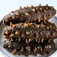 鲜食大连海参精选8-12头500g（送酱油）
