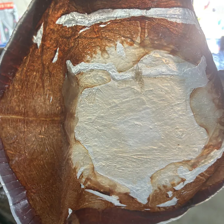 海蜇干皮爽脆口感适合凉拌