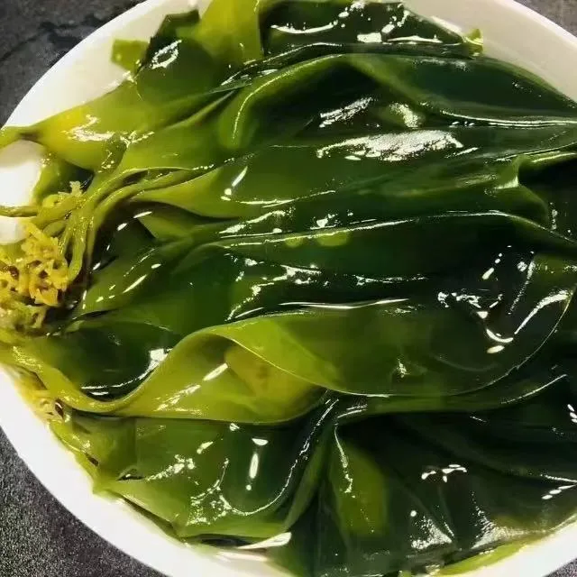 东山特产新鲜盐渍可用于凉拌煮汤火锅专用海带苗嫩苗深海纯天然