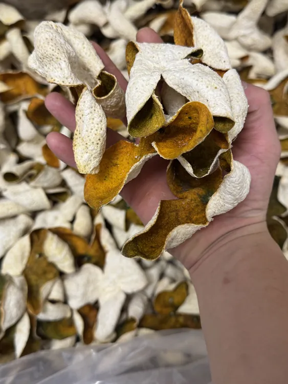 新会陈皮【2025】南坦生晒二红皮