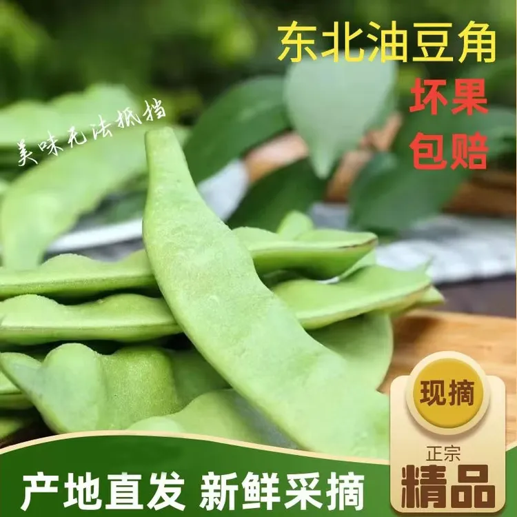 阿素山东北油豆角现摘现发（坏了包赔）