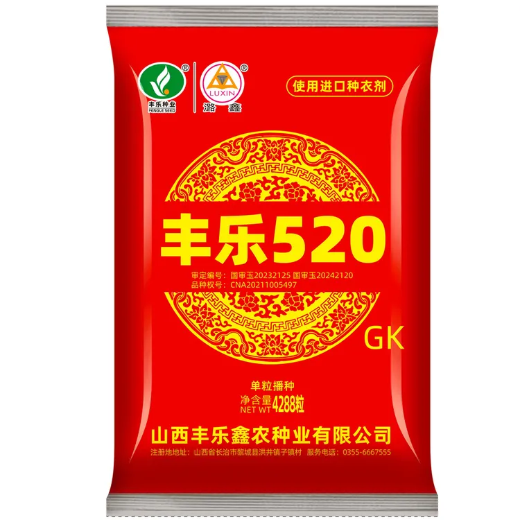 全新升级GK版本丰乐520高产玉米种子
