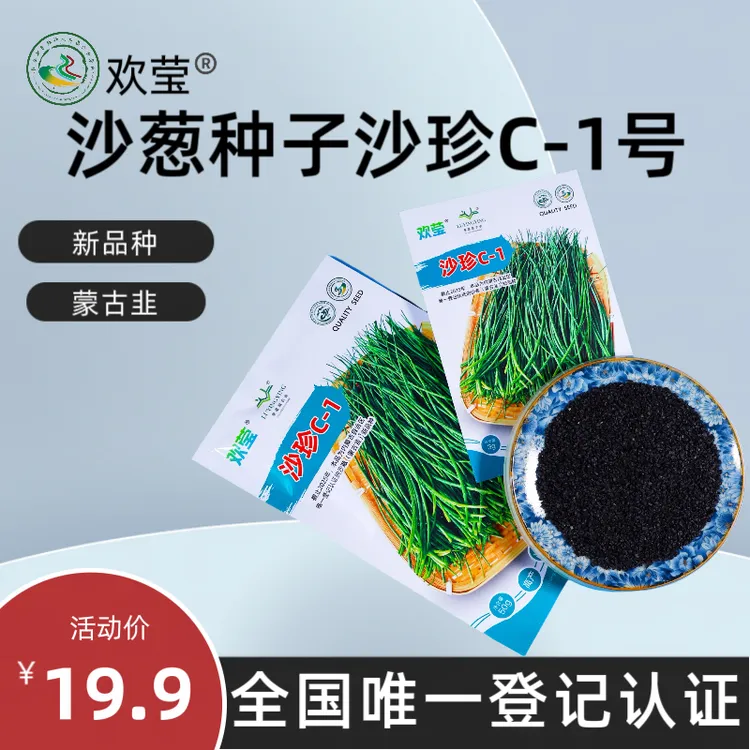 【酷琪专属】欢莹农科沙葱（蒙古韭）种子沙珍C-1内蒙古唯一认证