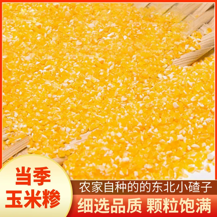 【半价抢三袋】东北特产香糯玉米碴袋装新鲜细碎杂粮笨碴子熬粥粘糯