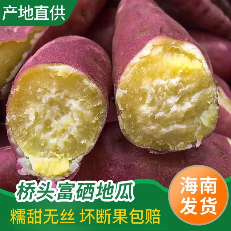 海南板栗红薯小香薯富硒桥头地瓜粉糯香甜新鲜农家生鲜自种农产品