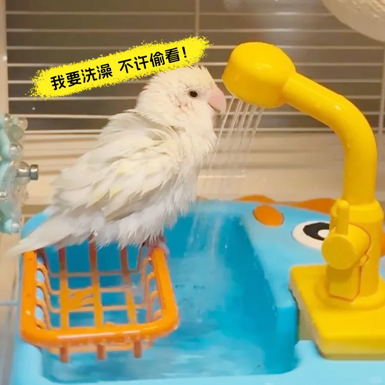 鹦鹉洗澡盆自动循环神器珍珠小鸟玄凤虎皮牡丹外置大号淋浴专用盆