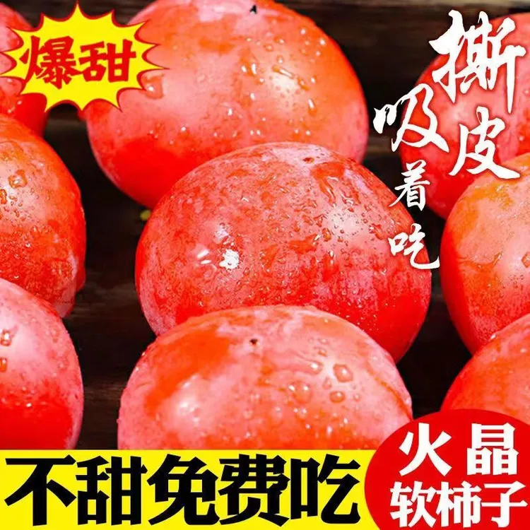 （乖，放软吃）无核火晶柿子蜜柿子应季鲜果流心柿子软柿子