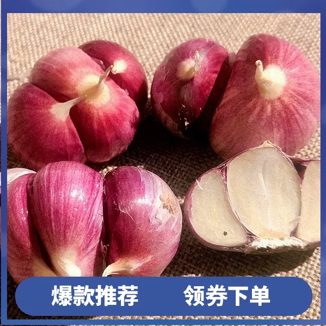 产地直发云南紫皮大蒜头现挖三丫蒜新新鲜大蒜红皮蒜三瓣蒜2/3/5