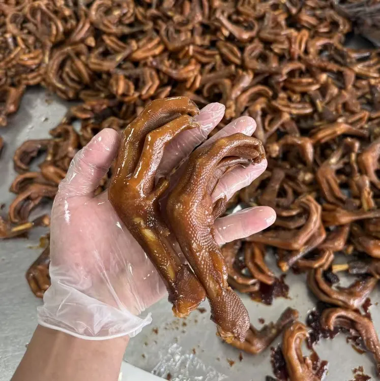 【橄榄专属】潮汕特色美食 卤鹅掌